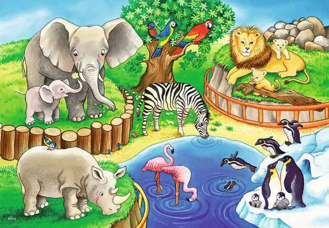 Ravensburger - 2 x 12 Animals in the Zoo Jigsaw Puzzle