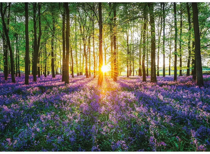 Wentworth - Mini Mindfull Bluebells 40 Piece Wooden Jigsaw Puzzle