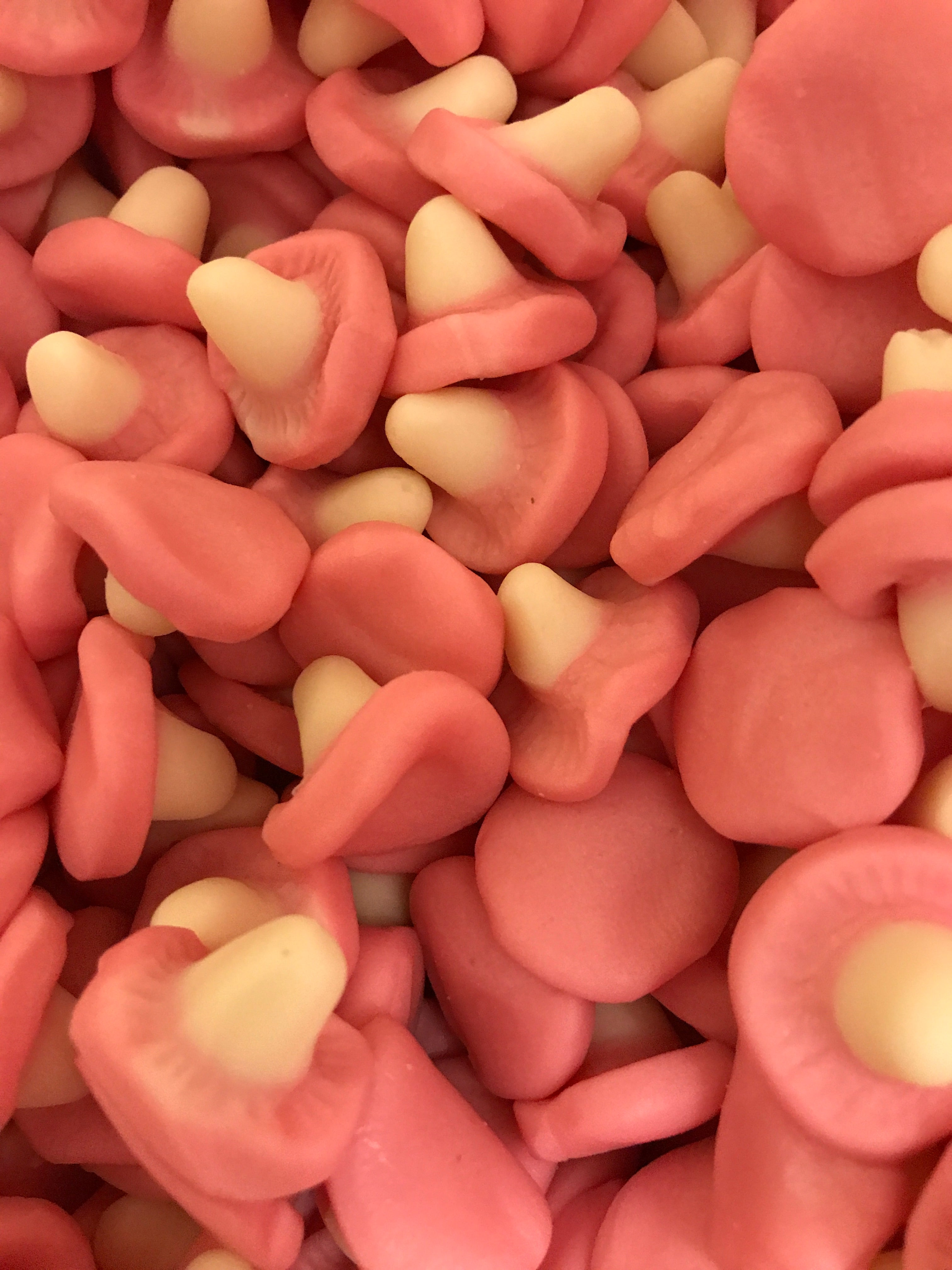 Pink Mushrooms image 0