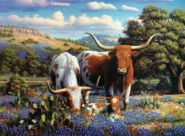 Ravensburger - Loving Longhorns 500 Piece Jigsaw Puzzle