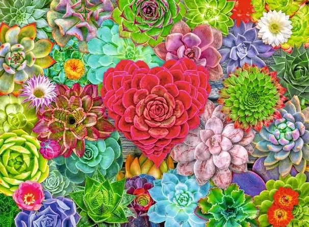 Ravensburger - Succulent Love 500 Piece Jigsaw Puzzle