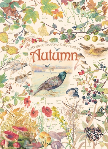 Cobble Hill - Country Diary: Autumn 1000 Piece Jigsaw Puzzle