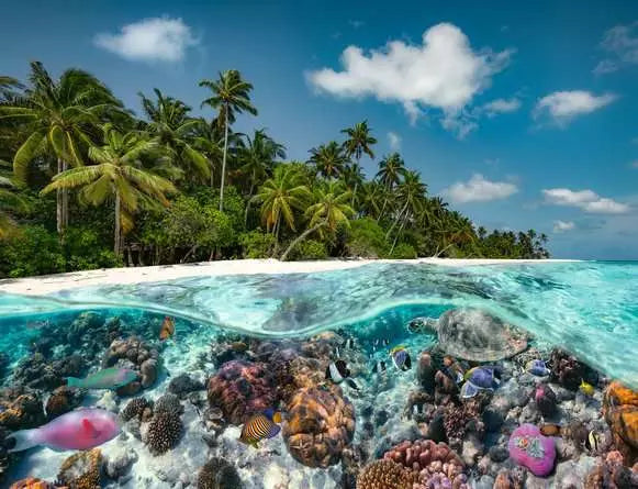 Ravensburger -  A Dive in the Maldives 2000 Piece Jigsaw Puzzle