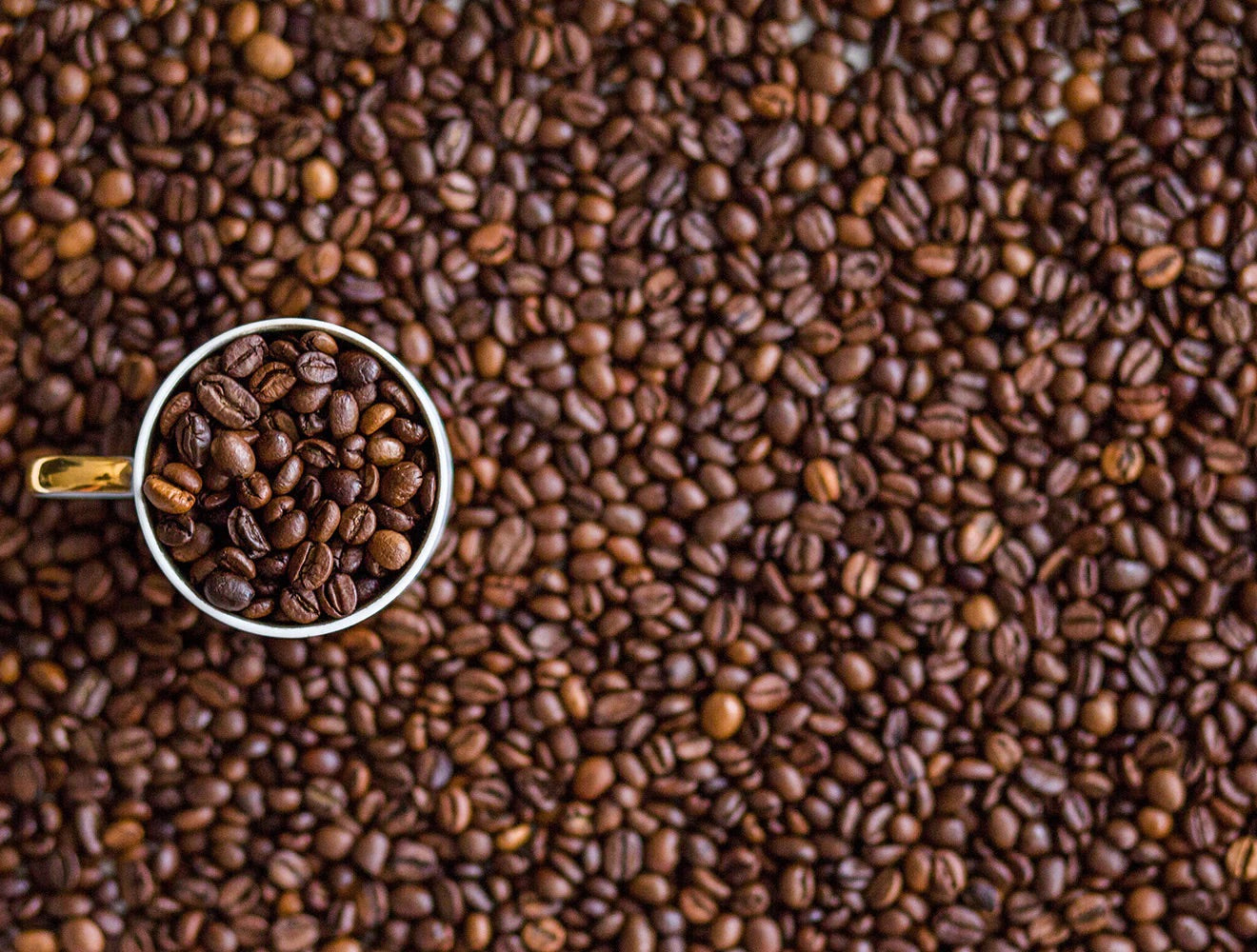 Full of Beans 1000 Piece Impossible Jigsaw Puzzle image 0