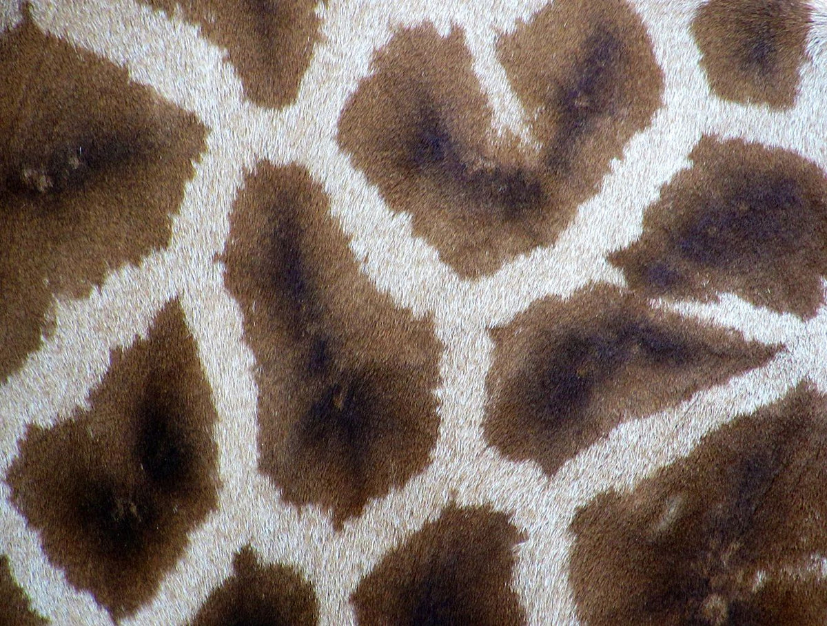 Giraffe Print - 1000 Piece Impossipuzzle Jigsaw