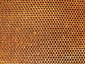 The Hive - 1000 Piece Impossipuzzle Jigsaw