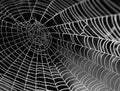 Arachnophobia - 1000 Piece Impossipuzzle Jigsaw