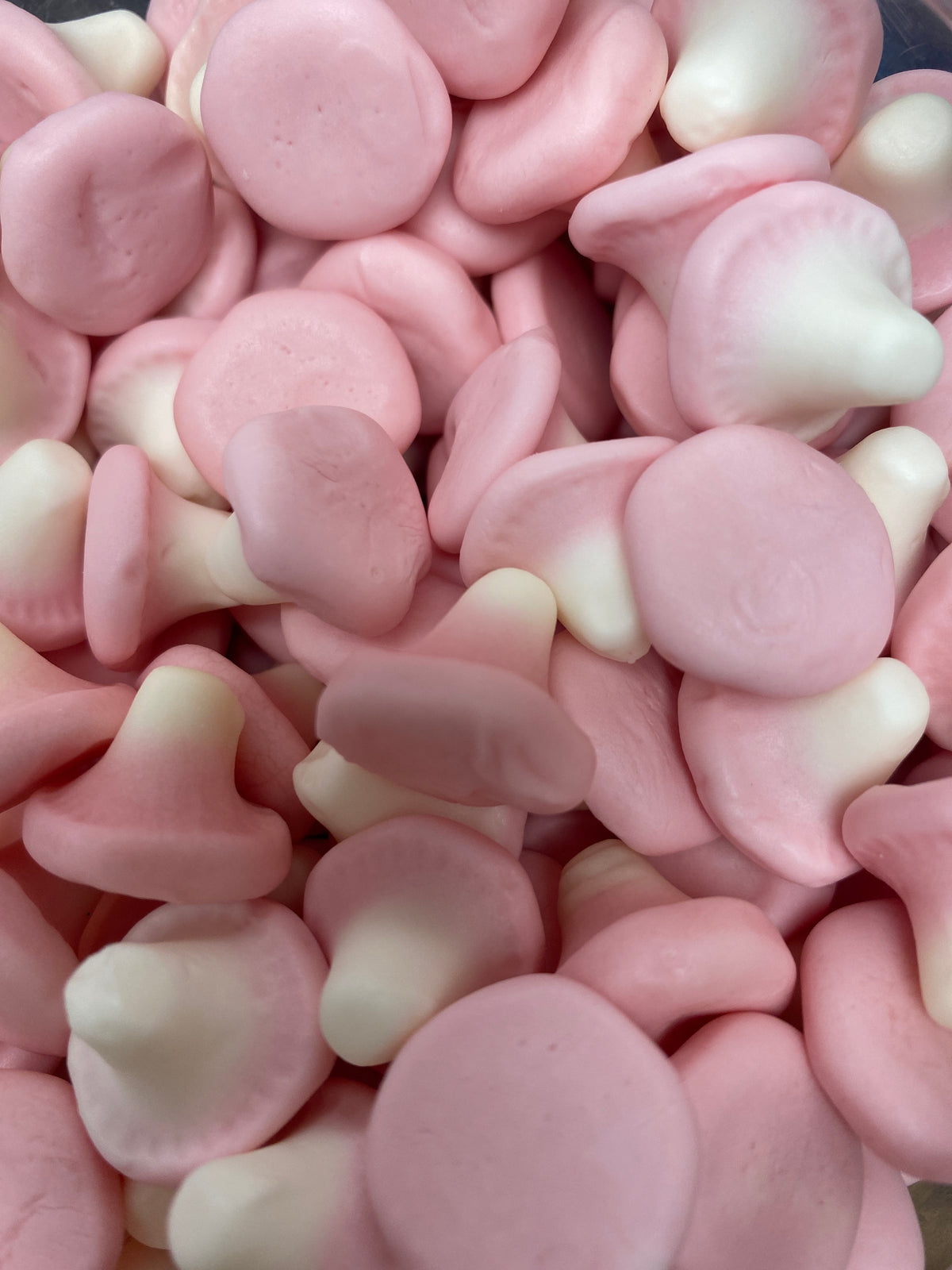 Pink Mushrooms - 100g