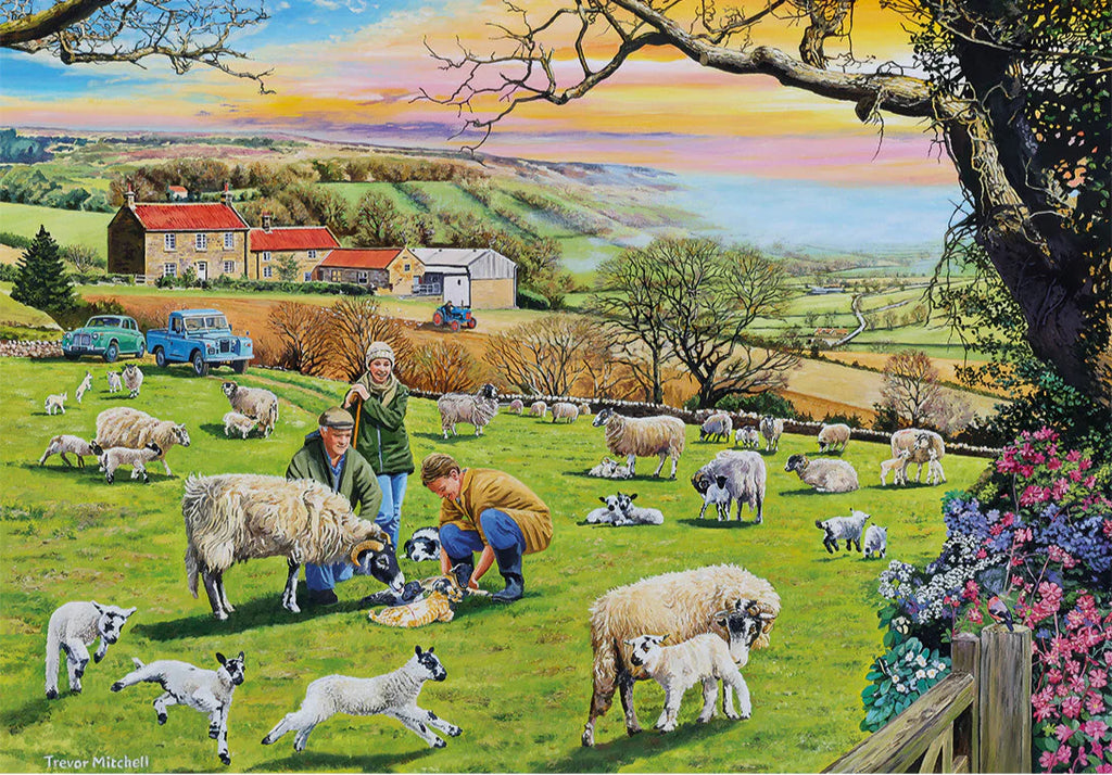 Gibson - Call the Vet 4 x 500 Piece Jigsaw Puzzle image 3