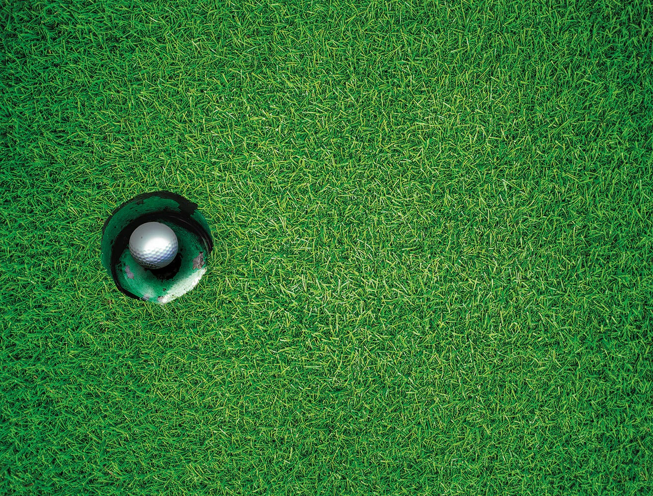 Hole in One 1000 Piece Impossible Jigsaw Puzzle image 0