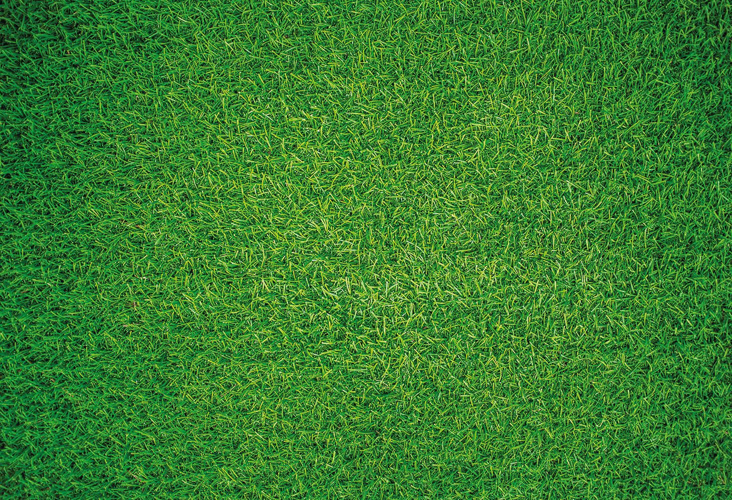 Natural Grass 1000 Piece Impossipuzzle image 1