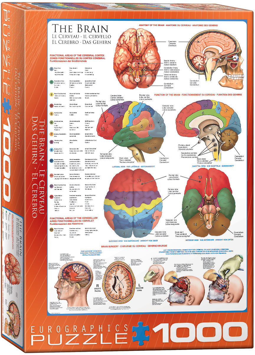 Eurographics - The Brain 1000 Piece Jigsaw Puzzle