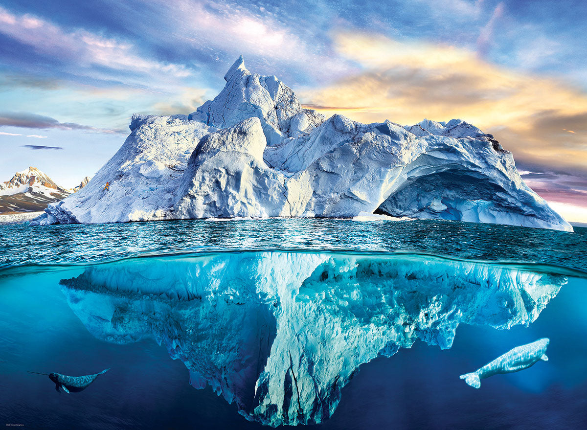 Eurographics - Arctic 1000 Piece Jigsaw Puzzle