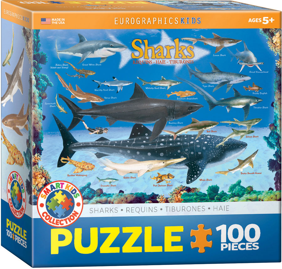 Eurographics Kids - Sharks 100 Piece Jigsaw Puzzle