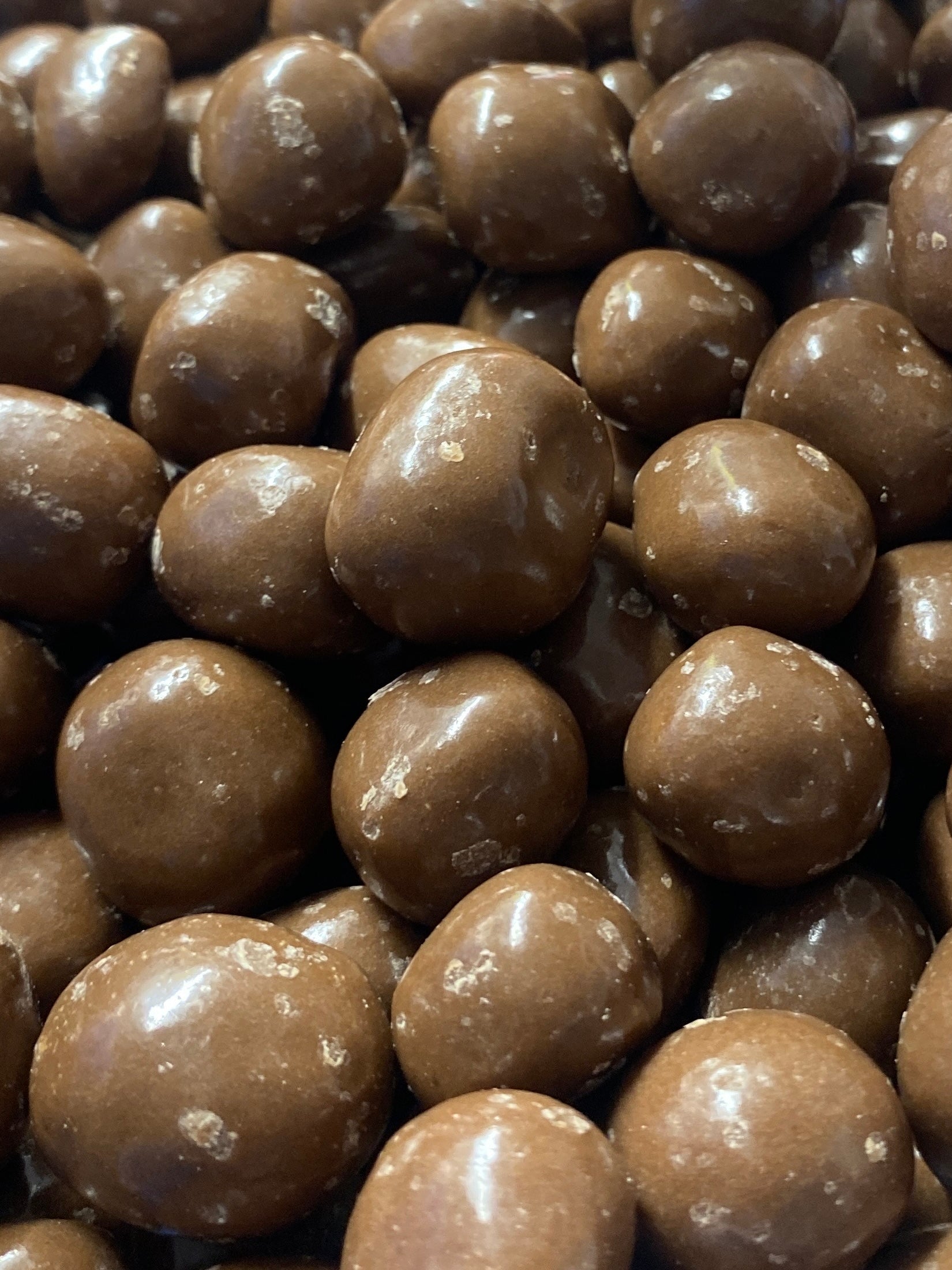 Candied Ginger Covered in Milk Chocolate image 0