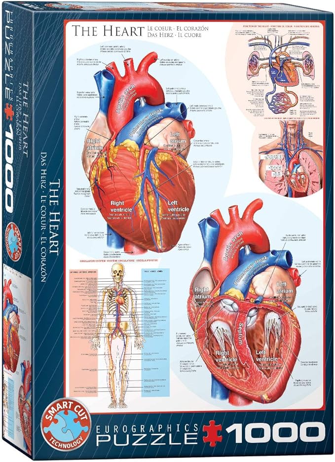 Eurographics - The Heart 1000 Piece Jigsaw Puzzle