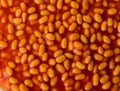 Baked Beans 1000 Piece Impossible Jigsaw Puzzle image 0