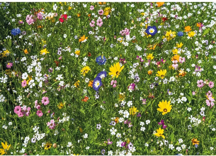 Wentworth - Colourful Meadow 40 Piece Wooden Jigsaw Puzzle