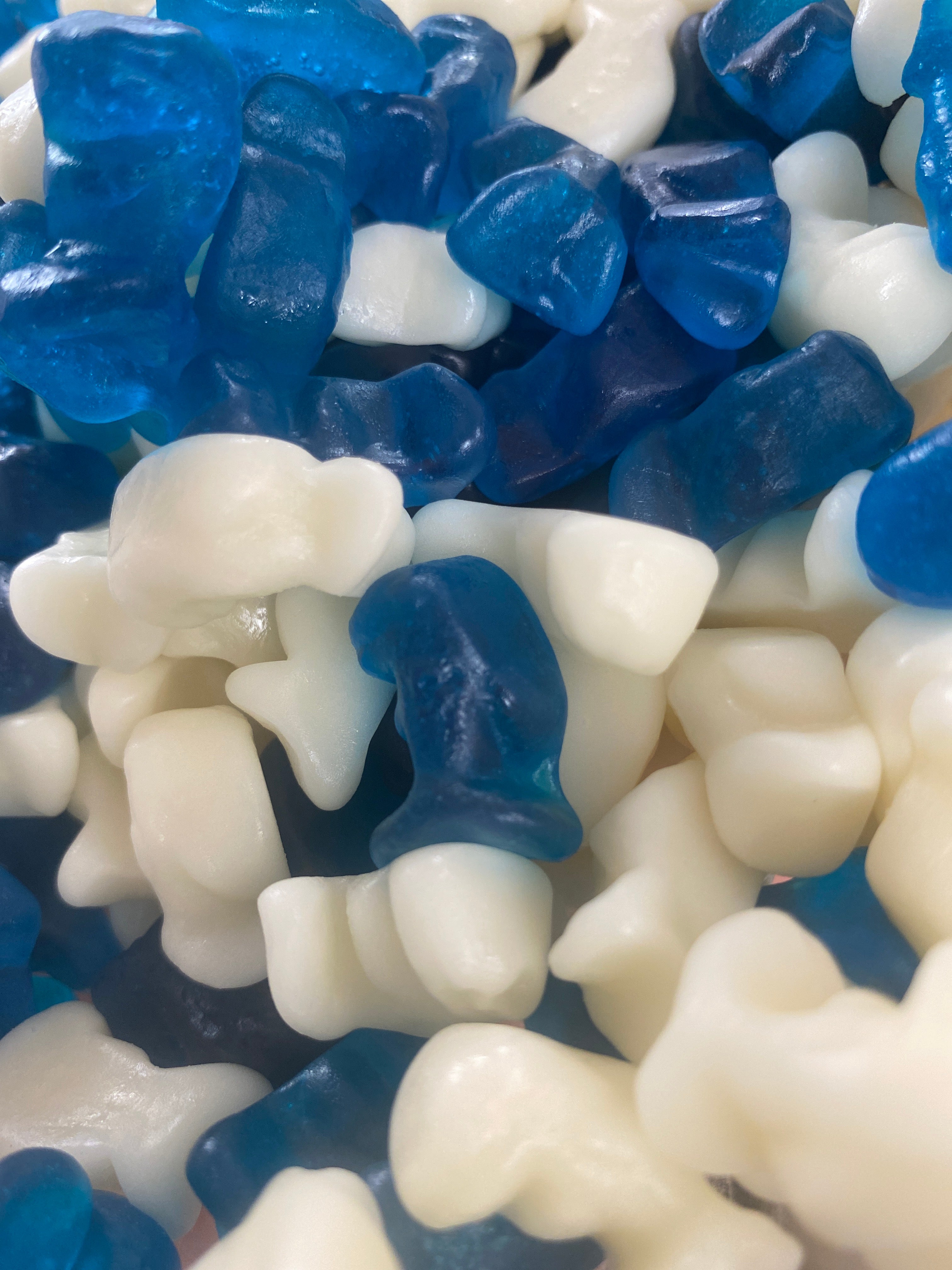 Baby Dolphins - 100g