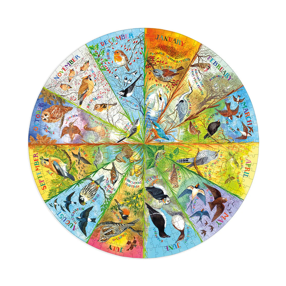Gibson - Birds of the Year 500 Piece Jigsaw Puzzle