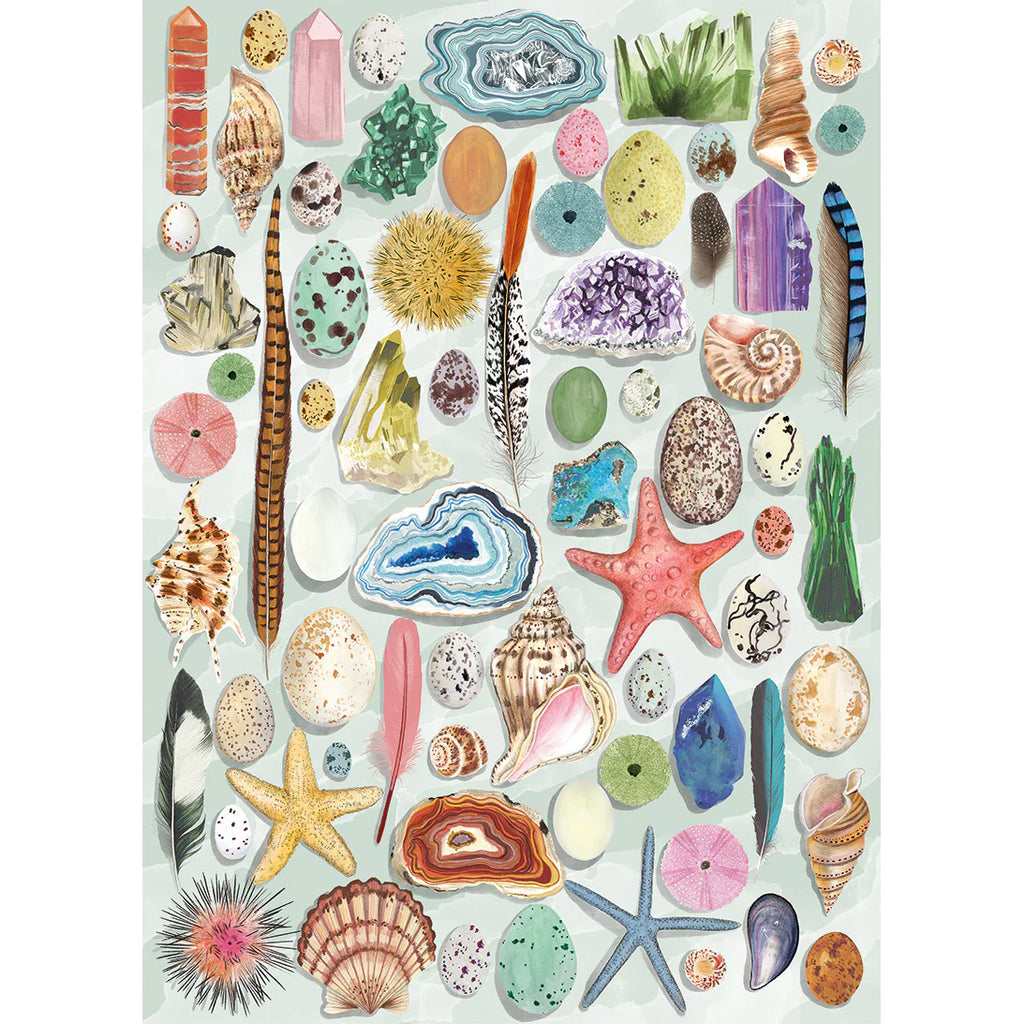 Gibson - Natural Curiosities 1000 Piece Jigsaw Puzzle image 1