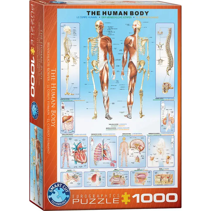 Eurographics - The Human Body 1000 Piece Jigsaw Puzzle image 0