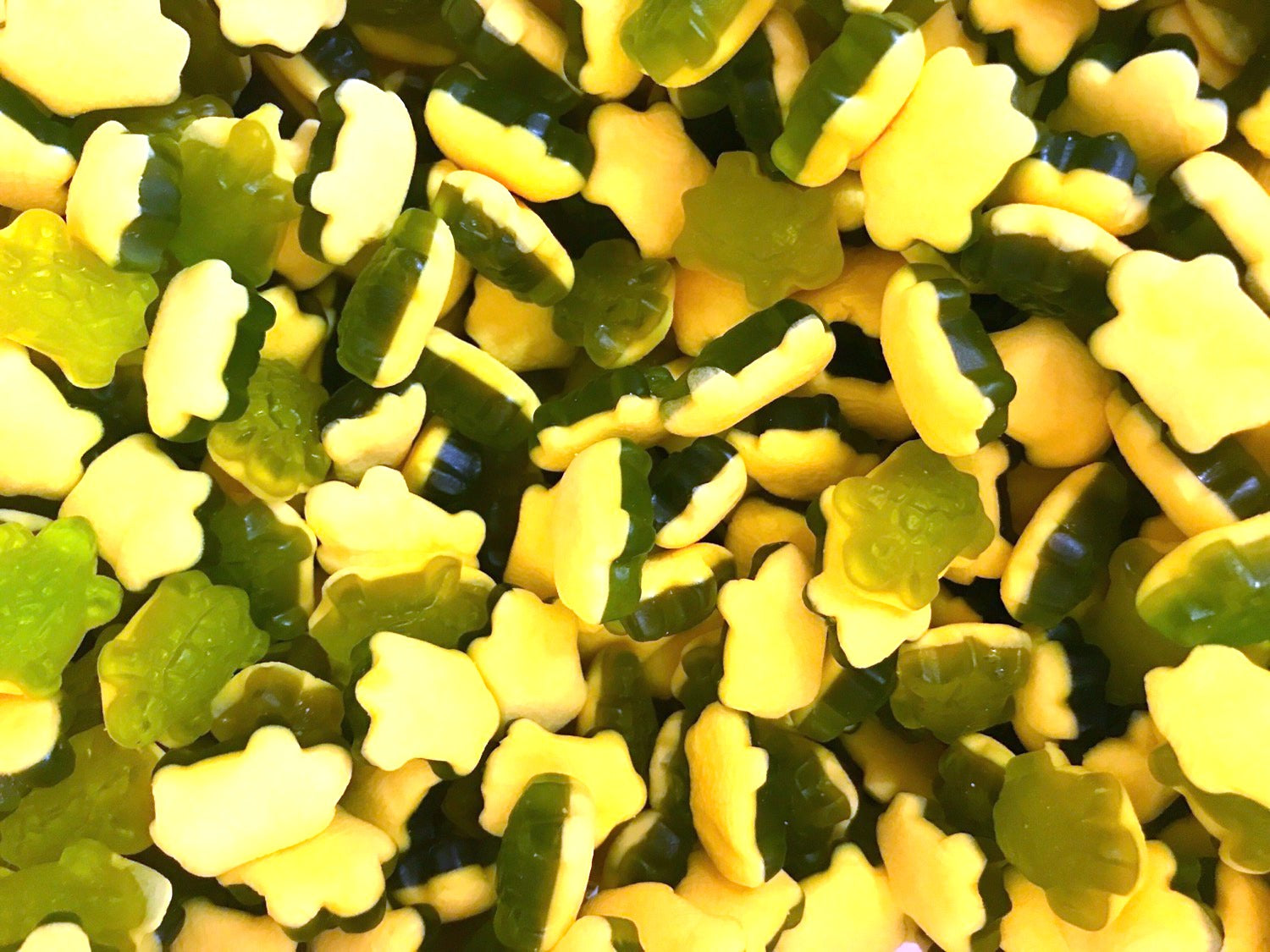 Bubblegum Turtles image 0