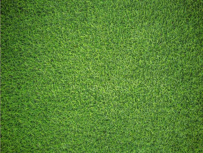 Natural Grass - 1000 Piece Impossipuzzle Jigsaw