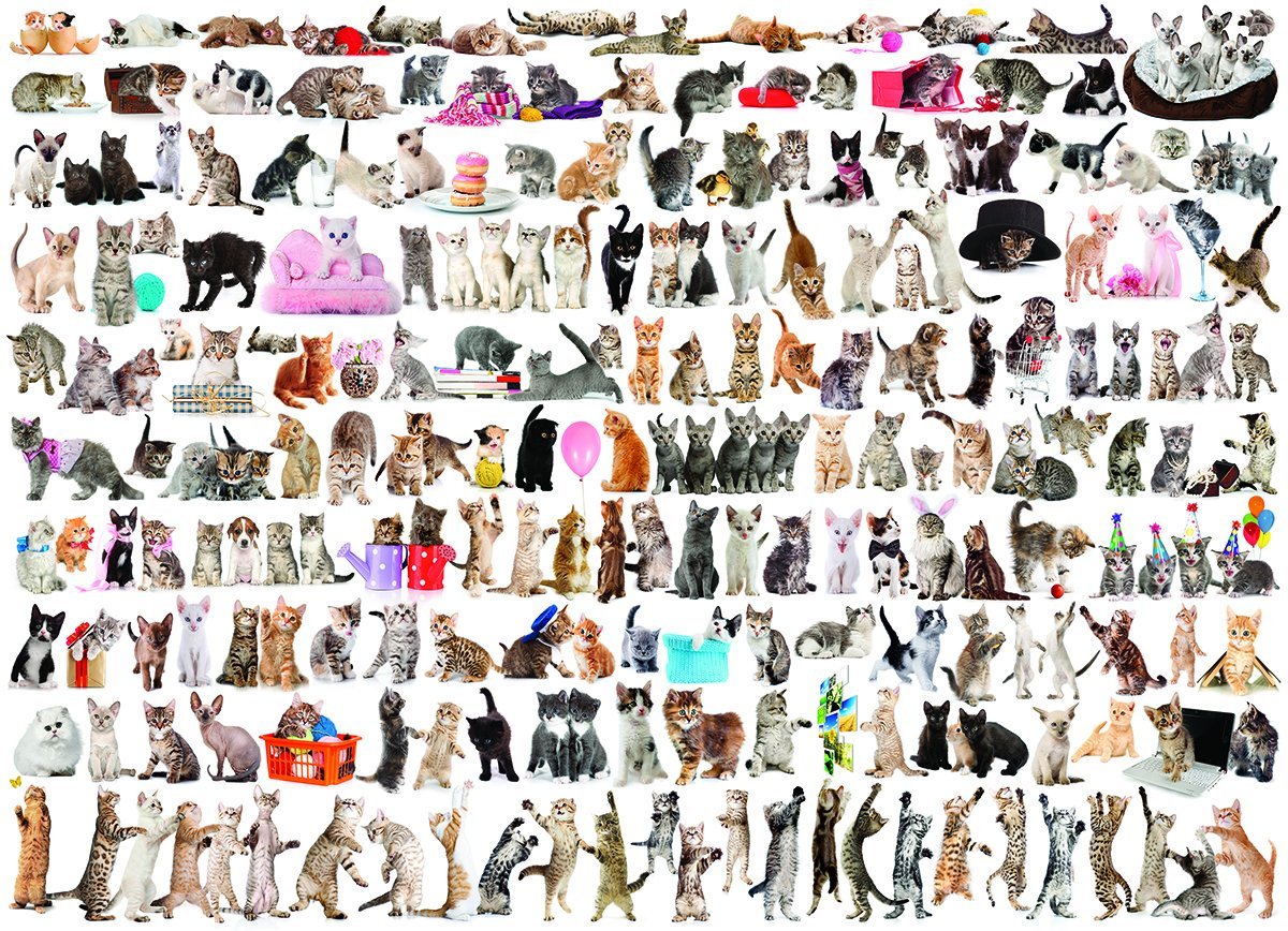 Eurographics - The World of Cats 1000 Piece Jigsaw Puzzle